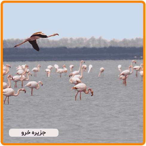 خرو