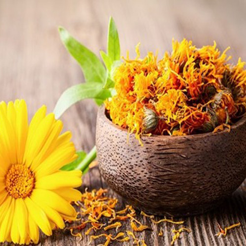 گل همیشه بهار خشک