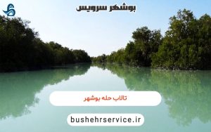 تالاب حله بوشهر
