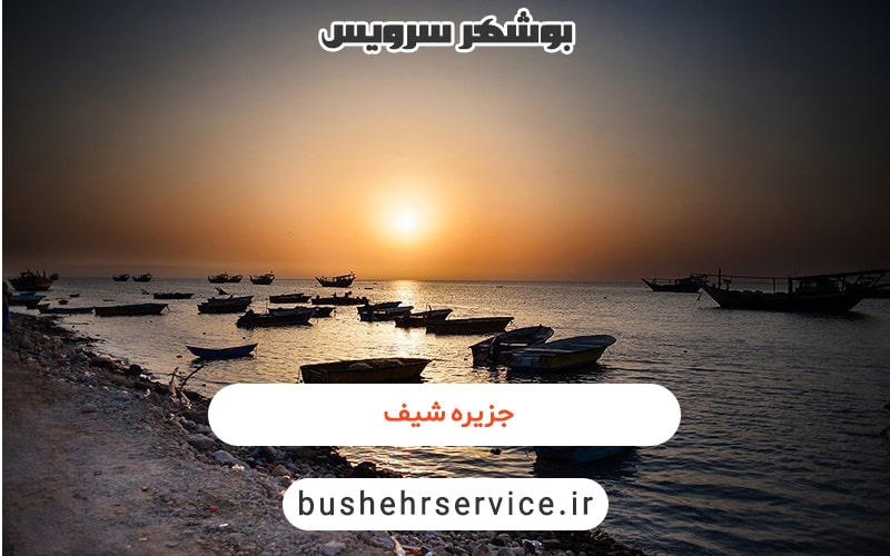جزیره شیف