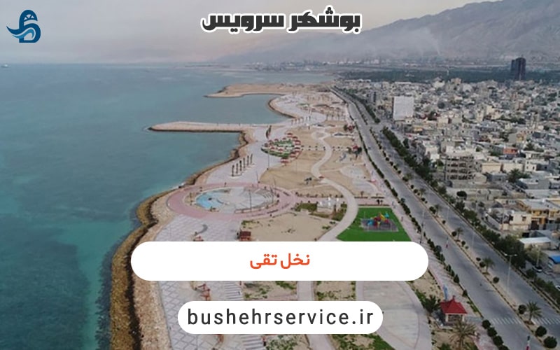 نخل تقی