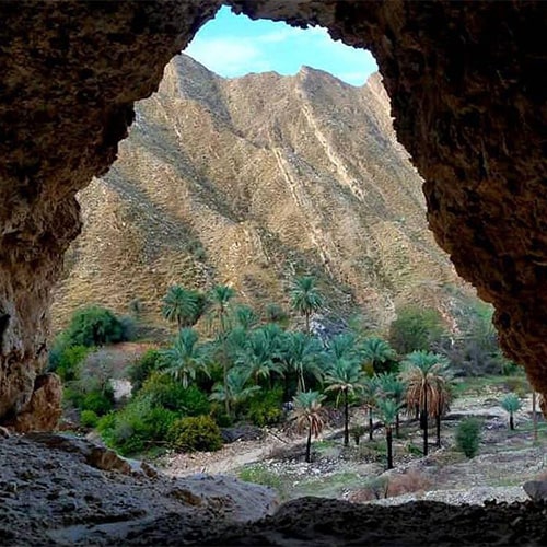 تنگ بنیون