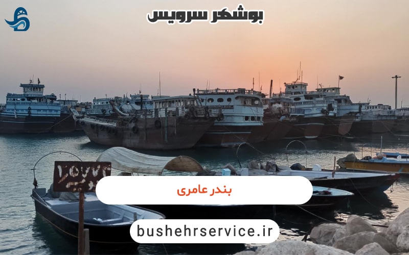 بندر عامری