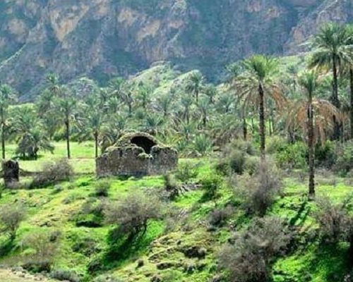 شهر جم در بوشهر