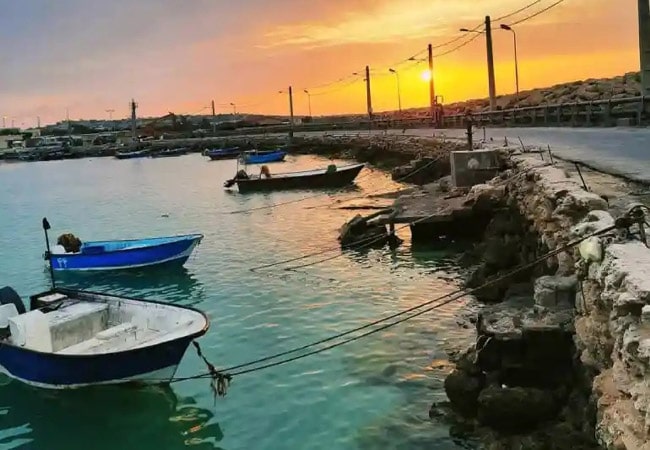 جزیره خارگ