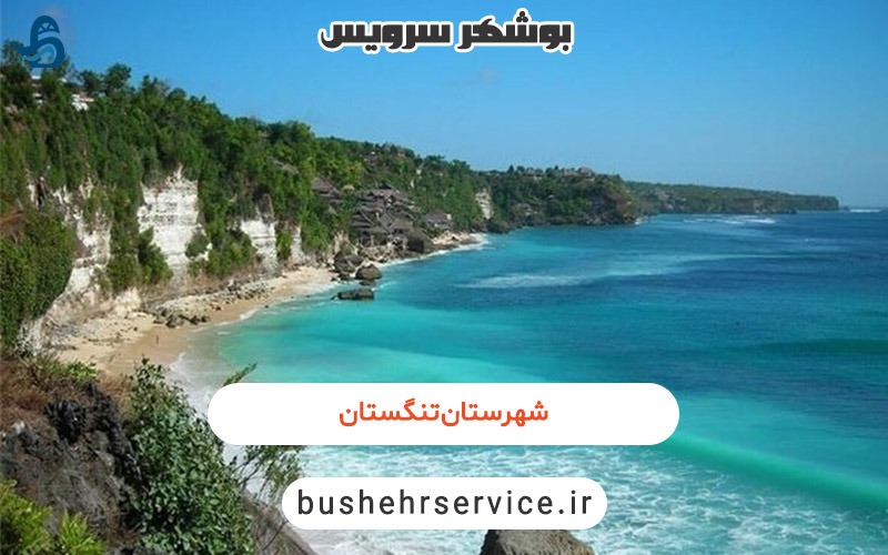 شهرستان تنگستان
