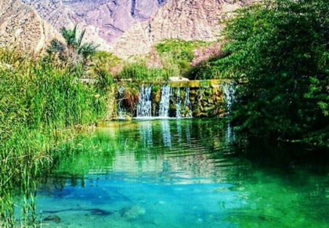 بنگه دشتی