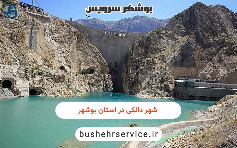 شهر دالکی