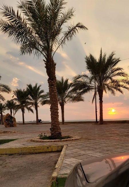 bushehr4-min