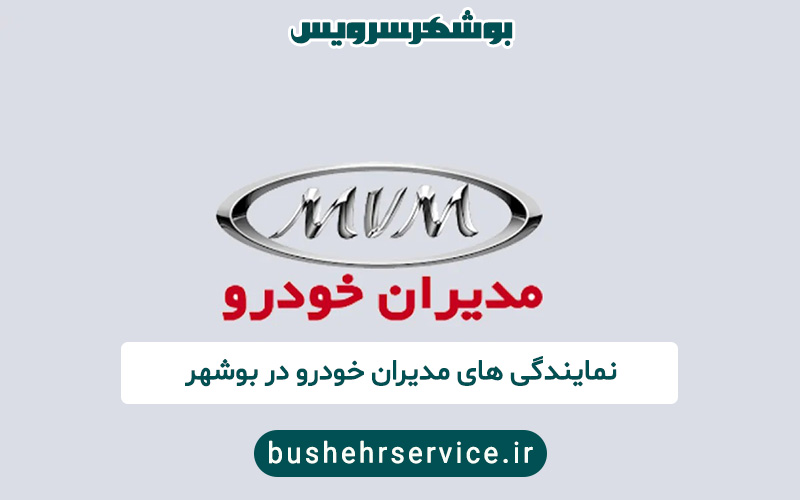 مدیران خودرو در بوشهر
