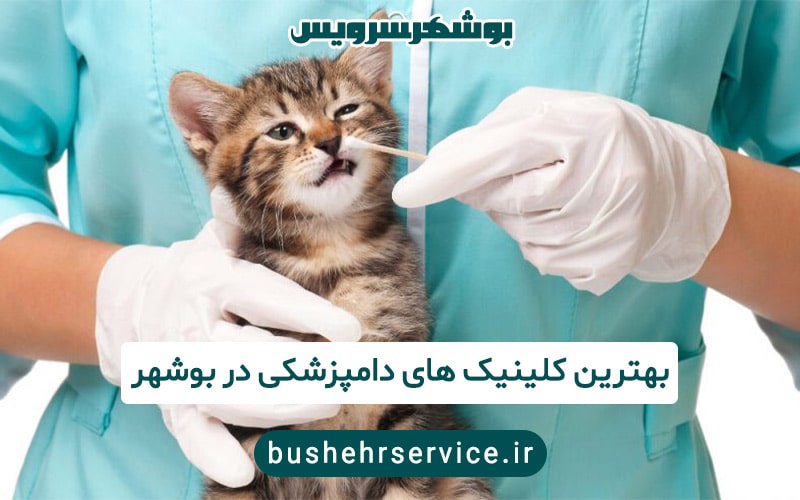 بهترین کلینیک های دامپزشکی در بوشهر